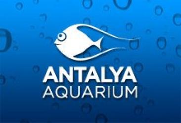 Antalya Akvaryum